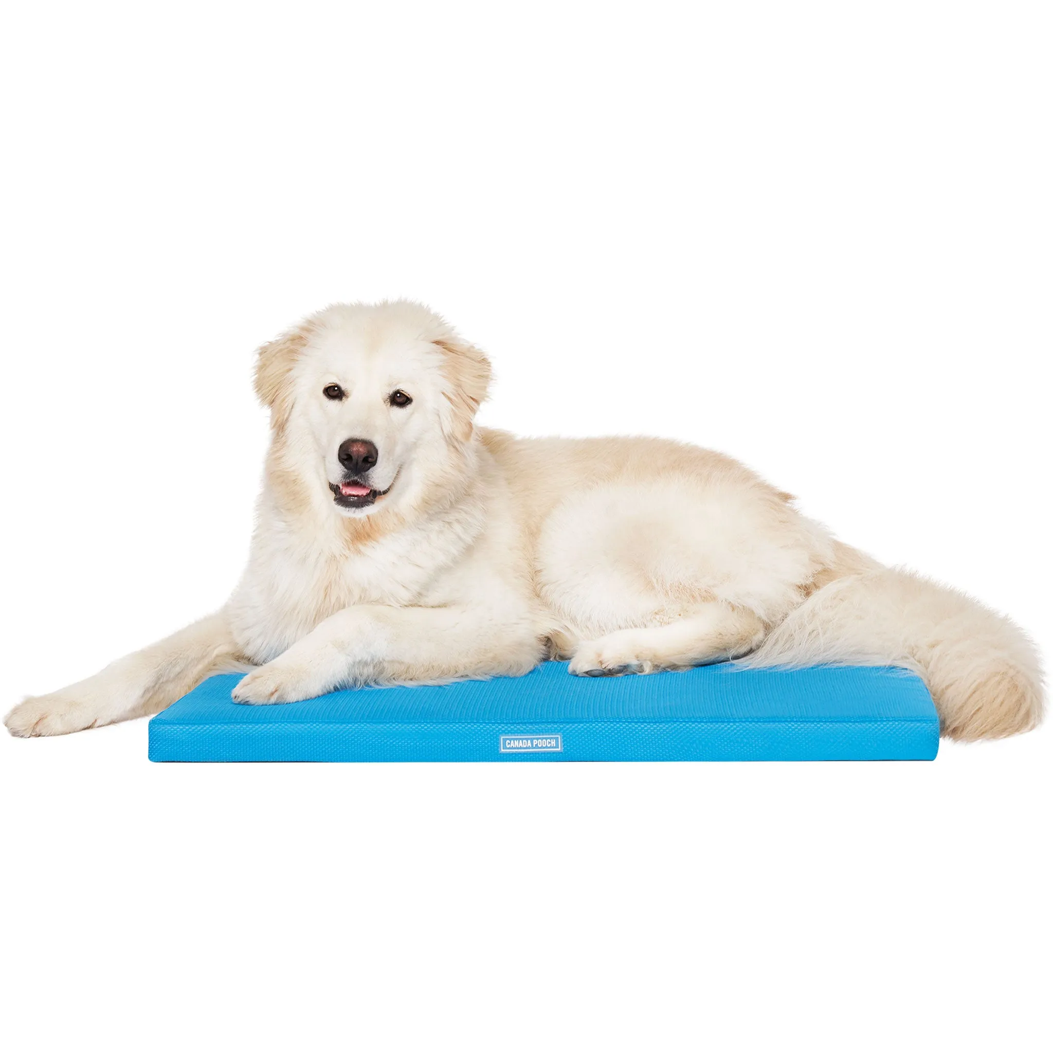 Canada Pooch Chill Out Blue Cooling Mat