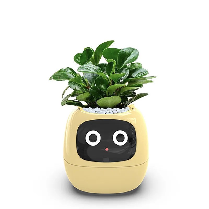 Fun Smart Flowerpot with Multiple Expressions, Plant-Free