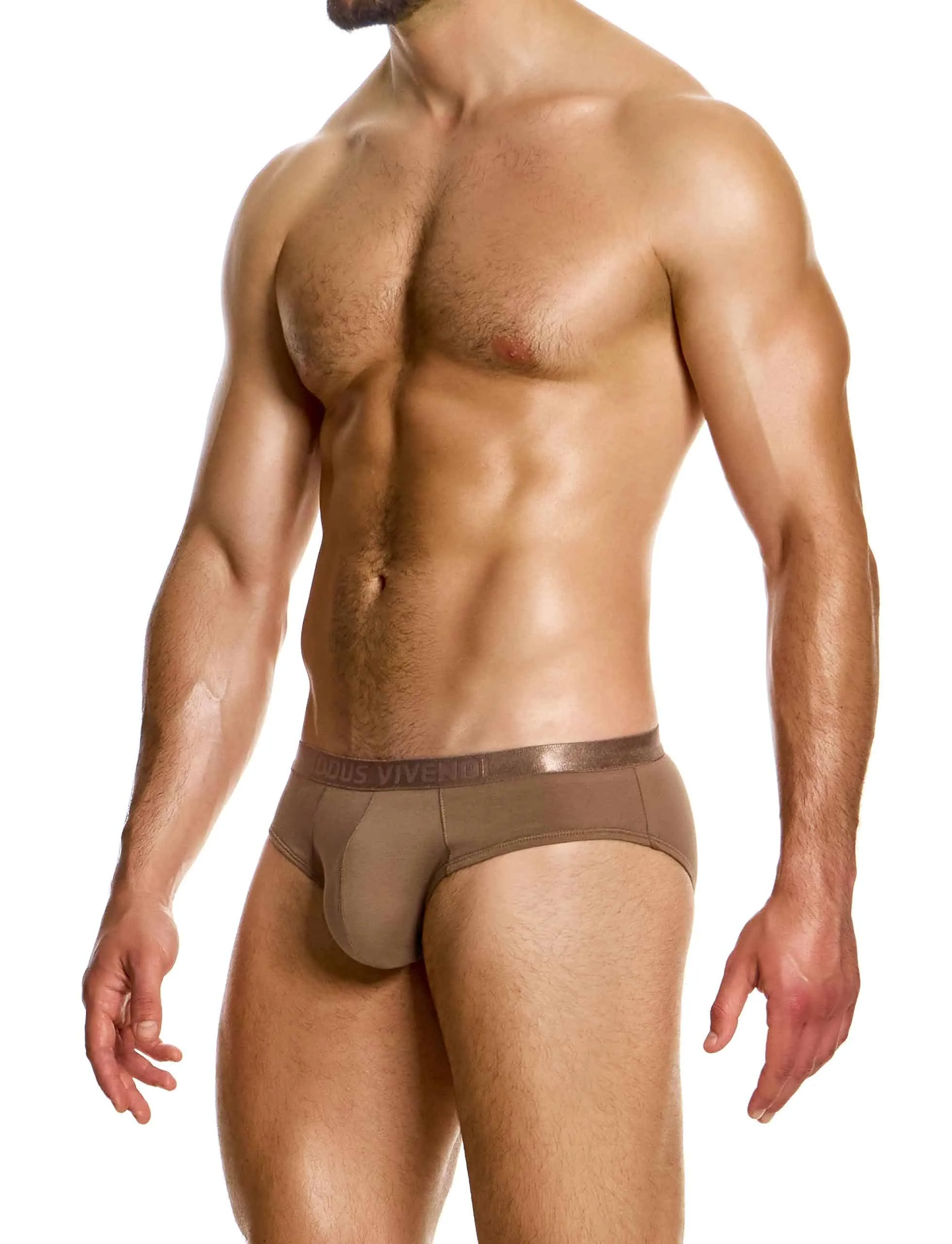 Modus Vivendi Antibacterial Classic Brief Dark Skin